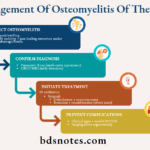 Management Of Osteomyelitis Of The Jaws