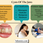 Odontogenic Cyst Management (2)