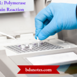 Polymerase Chain Reaction