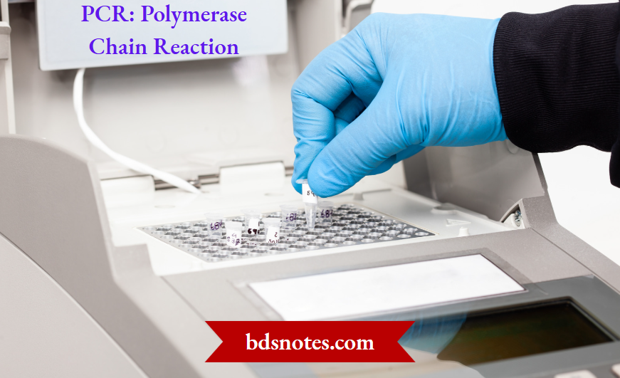 Polymerase Chain Reaction