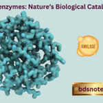 Proenzymes Nature’s Biological Catalysts