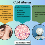 TB Lymphadenitis Visual Guide