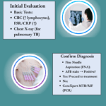 Tuberculous Lymphadenitis Diagnostic Algorithm