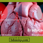 Understanding the Difference Between Tachycardia and Bradycardia Key Insights for Heart Health Defining Tachycardia And Bradycardia