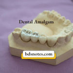 Dental Amalgam Composition