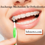 Orthodontic Anchorage Mechanism