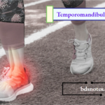 Temporomandibular Joint