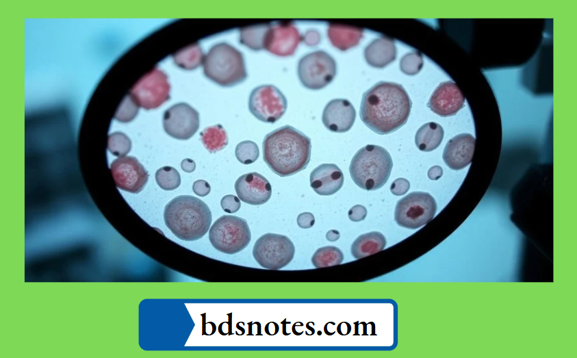 The Understanding Apoptosis in Clinical Contexts