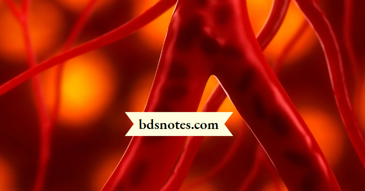 Clinical Significance Of The Lingual Artery