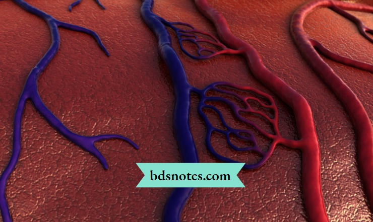 Diagnostic Techniques Involving The Lingual Artery