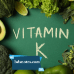 Exploring The Different Forms Of Vitamin K