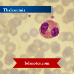 Thalassemia